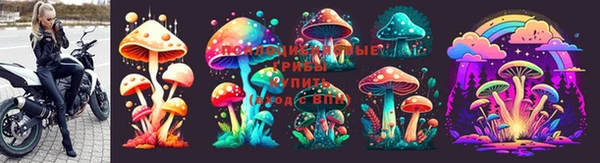 прущая мука Новозыбков