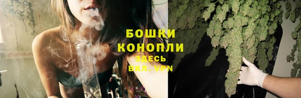 крисы Новодвинск
