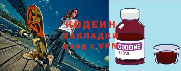 крисы Новодвинск