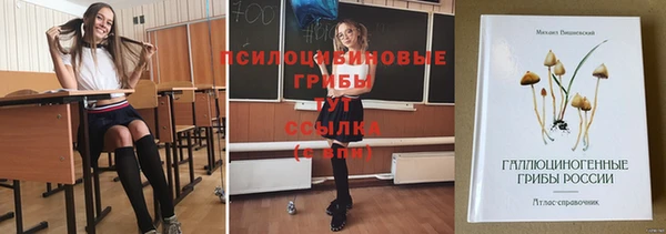 ПСИЛОЦИБИНОВЫЕ ГРИБЫ Нязепетровск