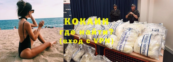 крисы Новодвинск