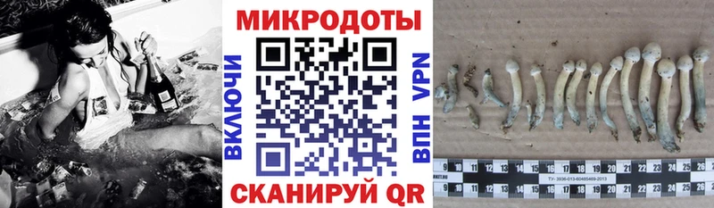 Галлюциногенные грибы мицелий  Нытва 